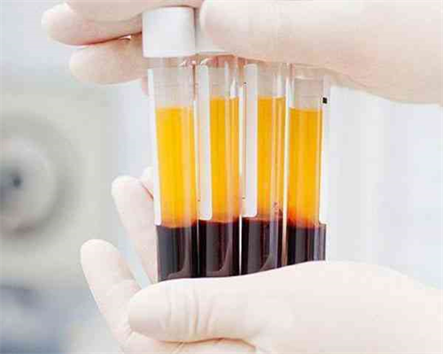 试管婴儿费用与成功率详解：国内与海外选择对比