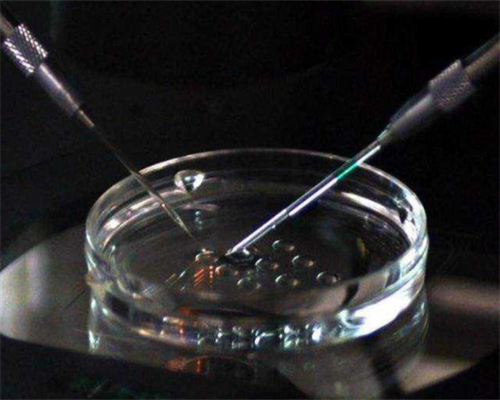 2026河南省供卵试管助孕医院排名与成功率解析