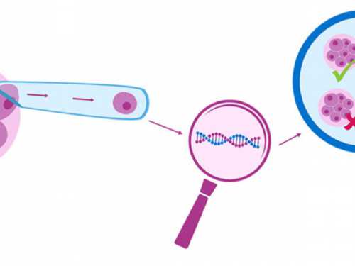 美丽汇医疗美容服务评价与专业医生技能解析