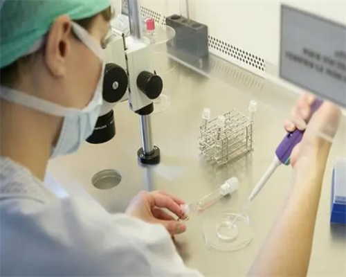 齐齐哈尔与哈尔滨试管助孕机构对比及选择指南