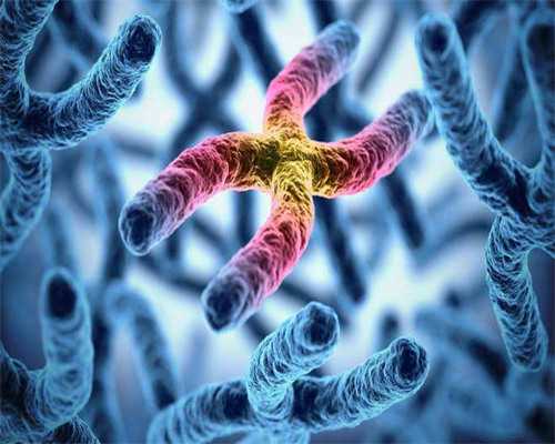 哈尔滨供卵代怀条件与费用详解：助孕指南与机构选择