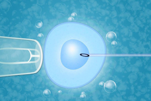 哈尔滨市第一医院顶尖试管婴儿医生名单及助孕技术解析