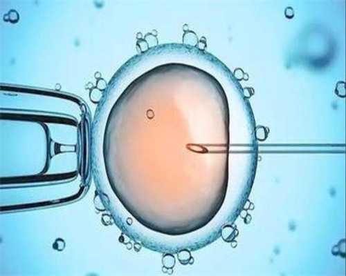 哈尔滨试管婴儿费用解析：不同方案价格差异大