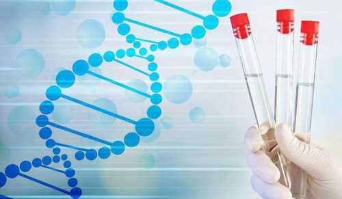 杭州试管婴儿过程详解与代生助孕指南