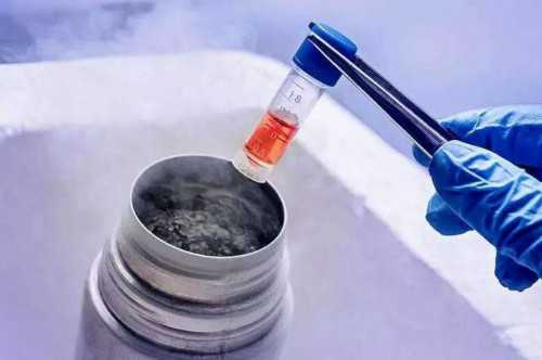 三代试管包生男孩费用解析与助孕服务指南