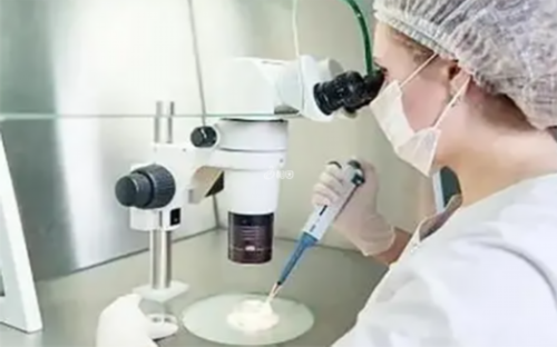 <strong>哈尔滨供卵试管助孕步骤与成功经验分享，代怀费用与流程解析</strong>