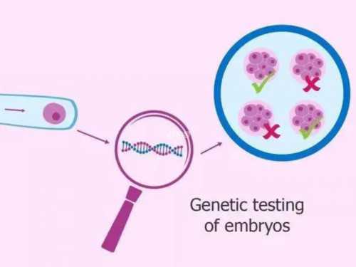 正规供卵机构排名与第三代试管医院选择指南