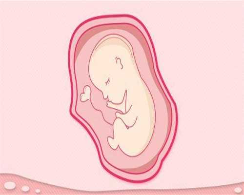 2026年试管婴儿费用及医院选择指南