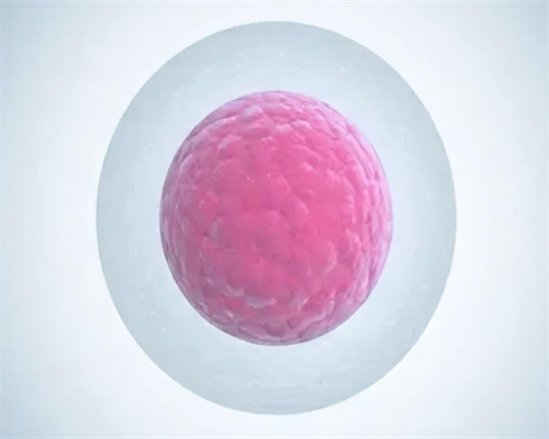 北京供卵试管医院名单及不排队推荐，附代生代怀服务咨询