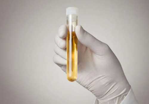 哈尔滨供卵试管助孕：子宫后位与代生代怀的全面指南