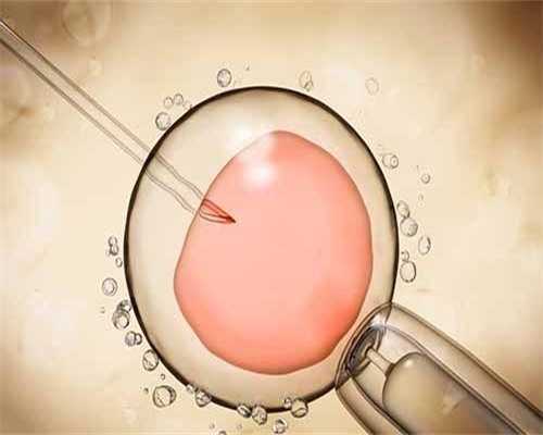 <strong>哈尔滨试管婴儿补贴政策与助孕医院选择指南</strong>