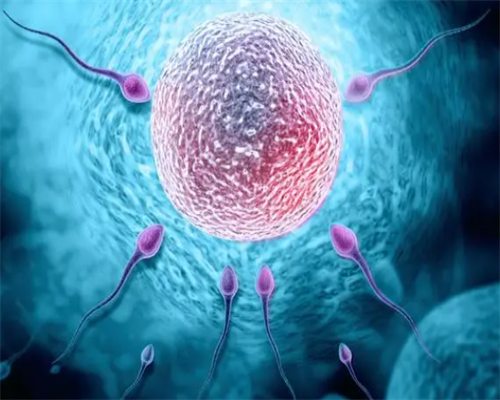 2026盐城供卵试管机构成功率排行与三代助孕指南