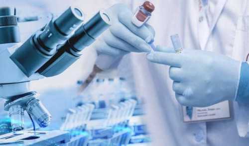 供卵试管费用解析：北京公立医院价格与流程指南