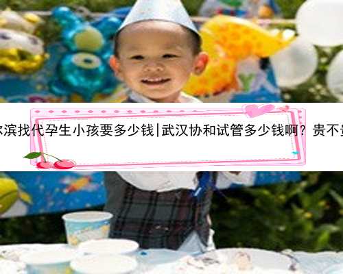 哈尔滨找代孕生小孩要多少钱|武汉协和试管多少钱啊？贵不贵？
