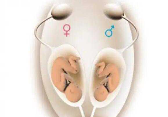 哈尔滨代孕试管婴儿代孕中心_p2v43_P25nL_2xAgF_单角子宫和残角子宫有什么区别？
