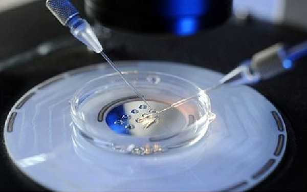 哈尔滨代孕两个孩子多少钱_9ykqp_6057P_83286_两步移植法移植两个胚胎成双胞胎的