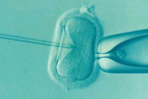 哈尔滨代孕生女儿_cd8g3_V142G_两步移植法移植两个胚胎成双胞胎的多吗？_Jw3zU_