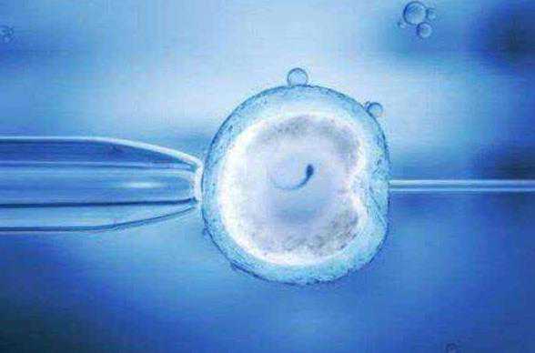 哈尔滨供卵捐卵医院 2022哈尔滨做供卵试管强五医院排名 ‘怀男宝宝早期有什么