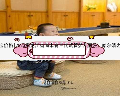 哈尔滨代怀宝宝价格|2023黑龙江省尚未有三代试管婴儿医院，哈尔滨之外的就医