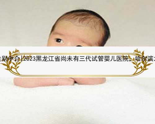 哈尔滨代怀包性别中介|2023黑龙江省尚未有三代试管婴儿医院，哈尔滨之外的就