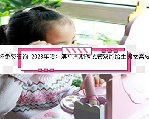 哈尔滨代怀免费咨询|2023年哈尔滨单周期做试管双胞胎生男女需要多少钱？