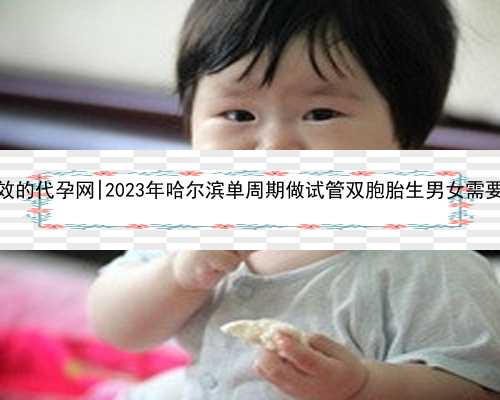 哈尔滨高效的代孕网|2023年哈尔滨单周期做试管双胞胎生男女需要多少钱？